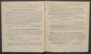 dziennik departamentowy radomski 1815-49-00003